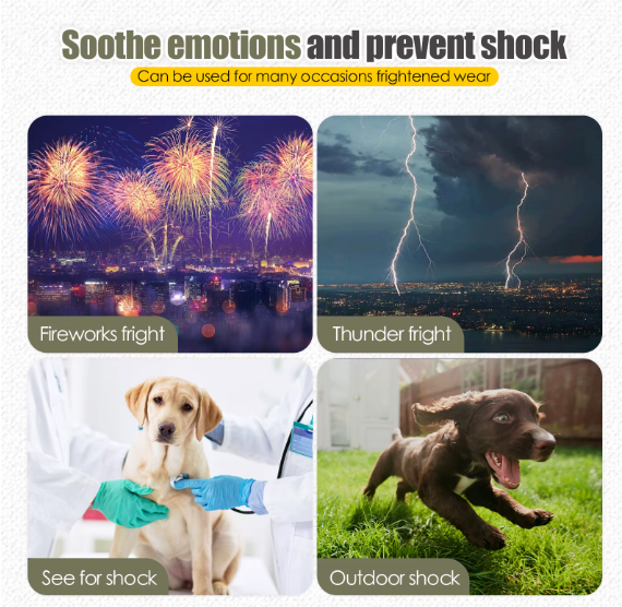 Dog Anxiety Vest – Comfort & Calm Support