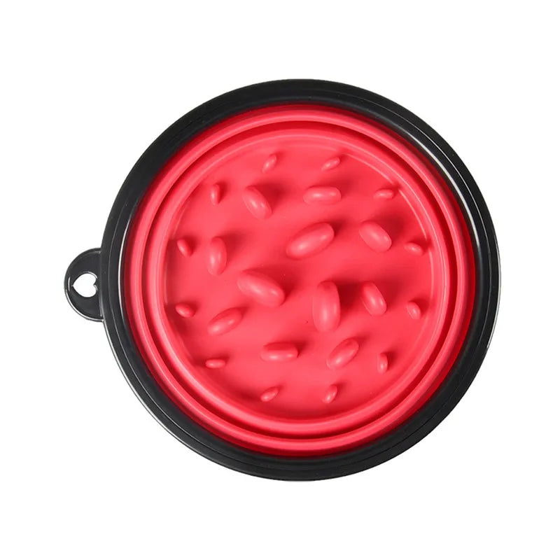 Collapsible Slow Feeder Travel Dog Bowl