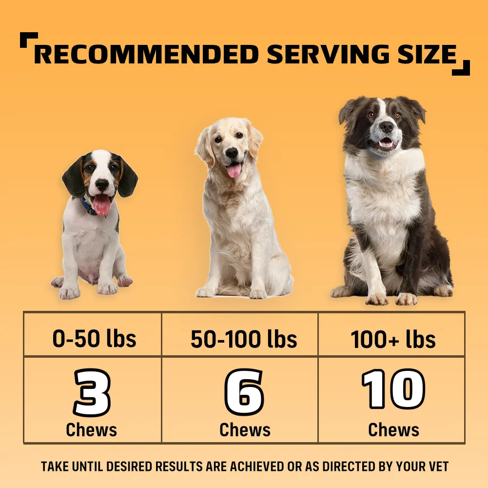 Allergy & Itch Relief Chews for Dogs | Omega-3, Probiotics & Immune Support | Chicken Flavor | 90 Soft Chews