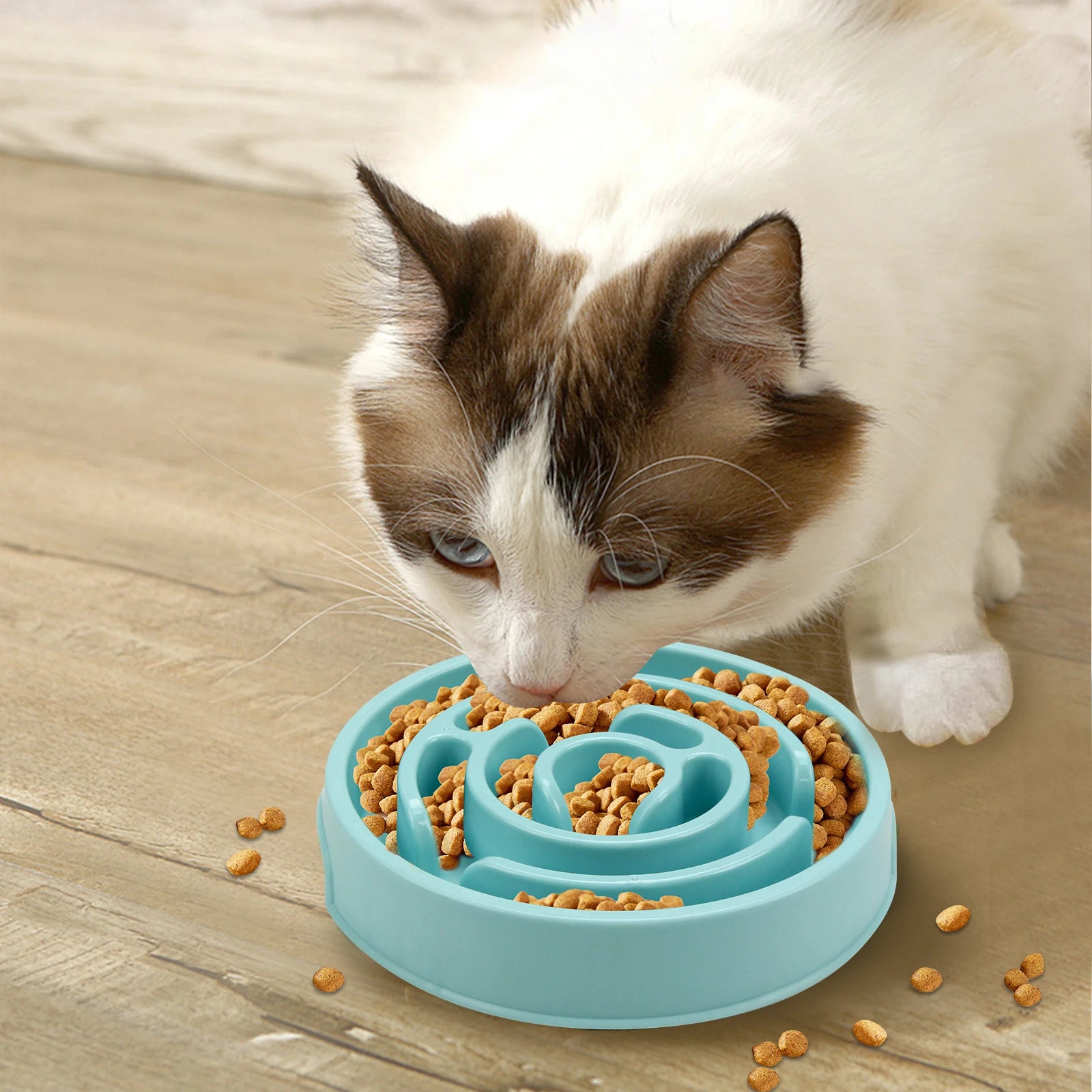 Slow Feeder Bowl | Maze Puzzle Food Bowl for Dogs & Cats