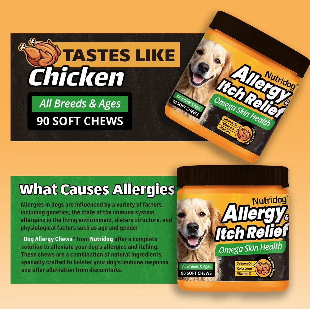 Allergy & Itch Relief Chews for Dogs | Omega-3, Probiotics & Immune Support | Chicken Flavor | 90 Soft Chews
