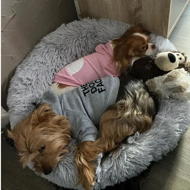 The Dog Face Dog Hoodie