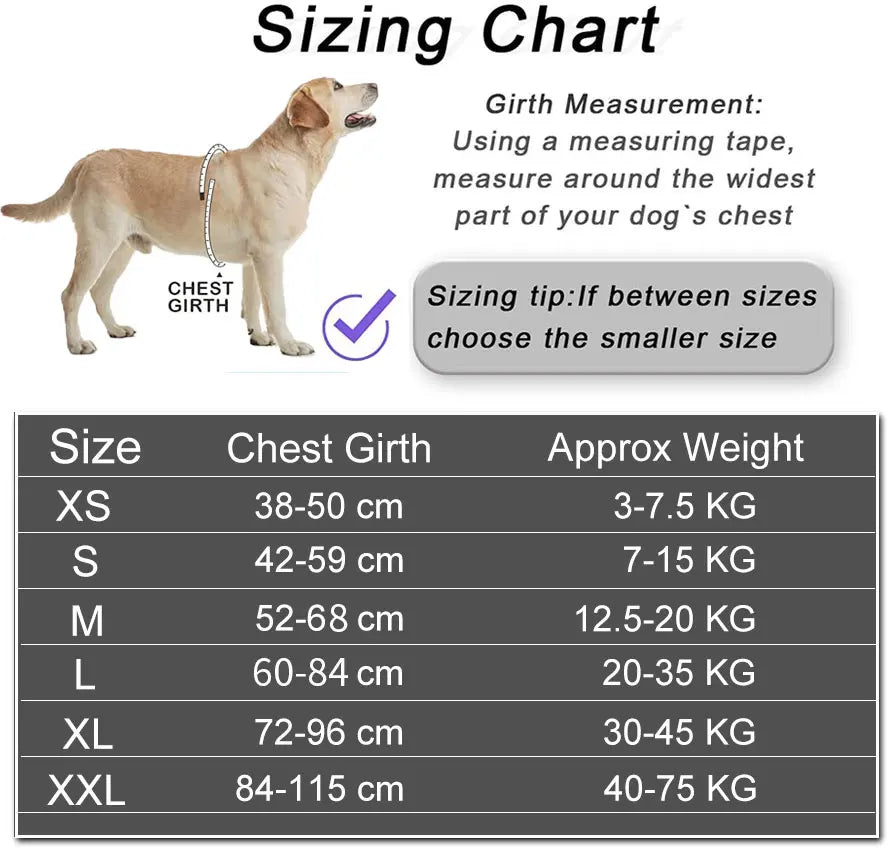 Adjustable Reflective Dog Harness with Custom Name Patch