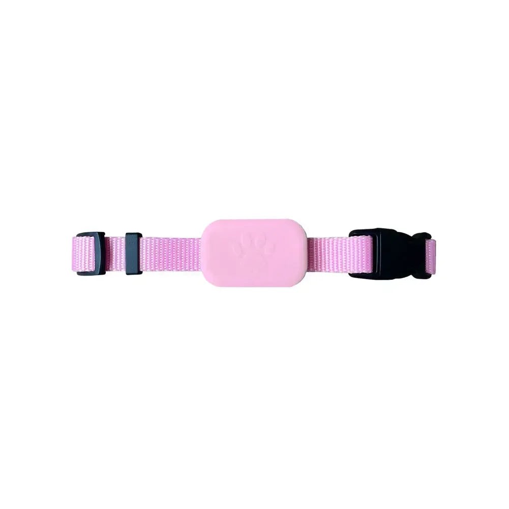 Smart Bluetooth Pet Finder | Apple Find My Collar