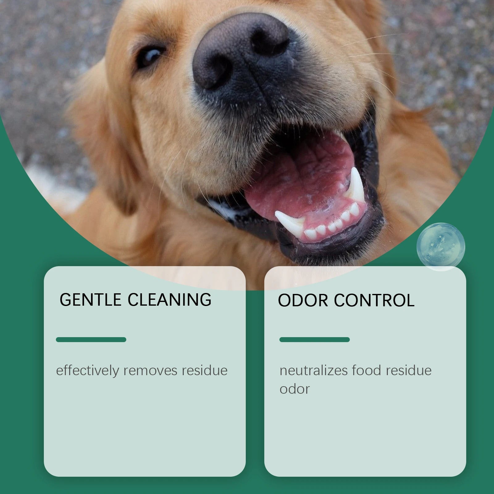 Dog Dental Cleaning Powder | Fresh Breath, Plaque & Tartar Support (100g)