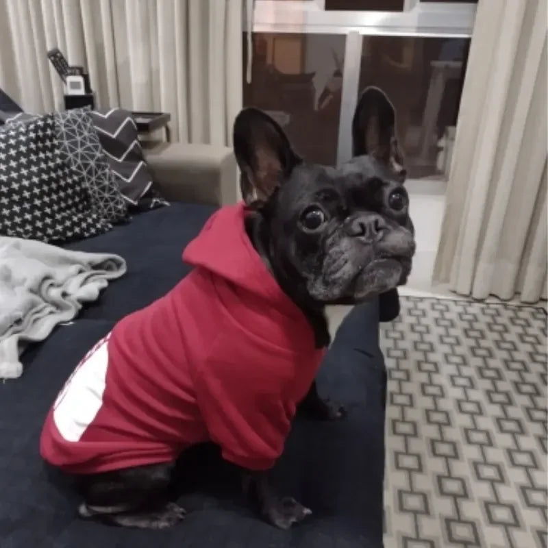 The Dog Face Dog Hoodie