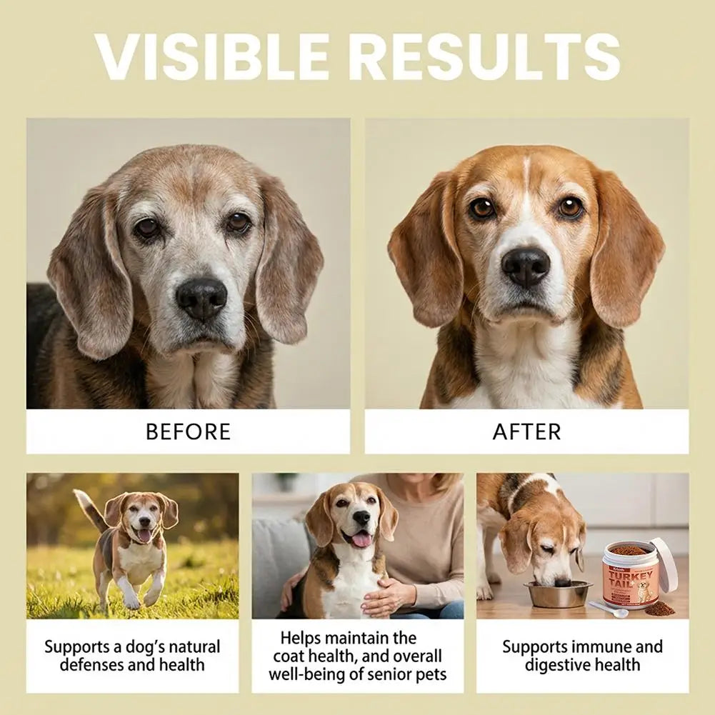 Turkey Tail Immune Support Powder for Dogs | Daily Immune & Gut Health Supplement (100g)