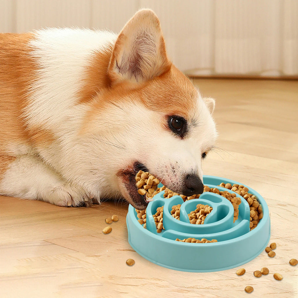 Slow Feeder Bowl | Maze Puzzle Food Bowl for Dogs & Cats