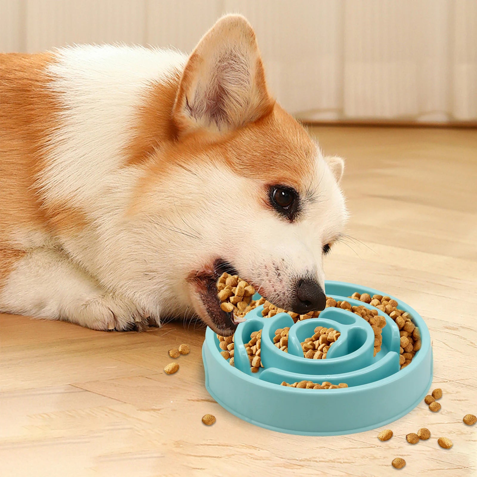 Slow Feeder Bowl | Maze Puzzle Food Bowl for Dogs & Cats
