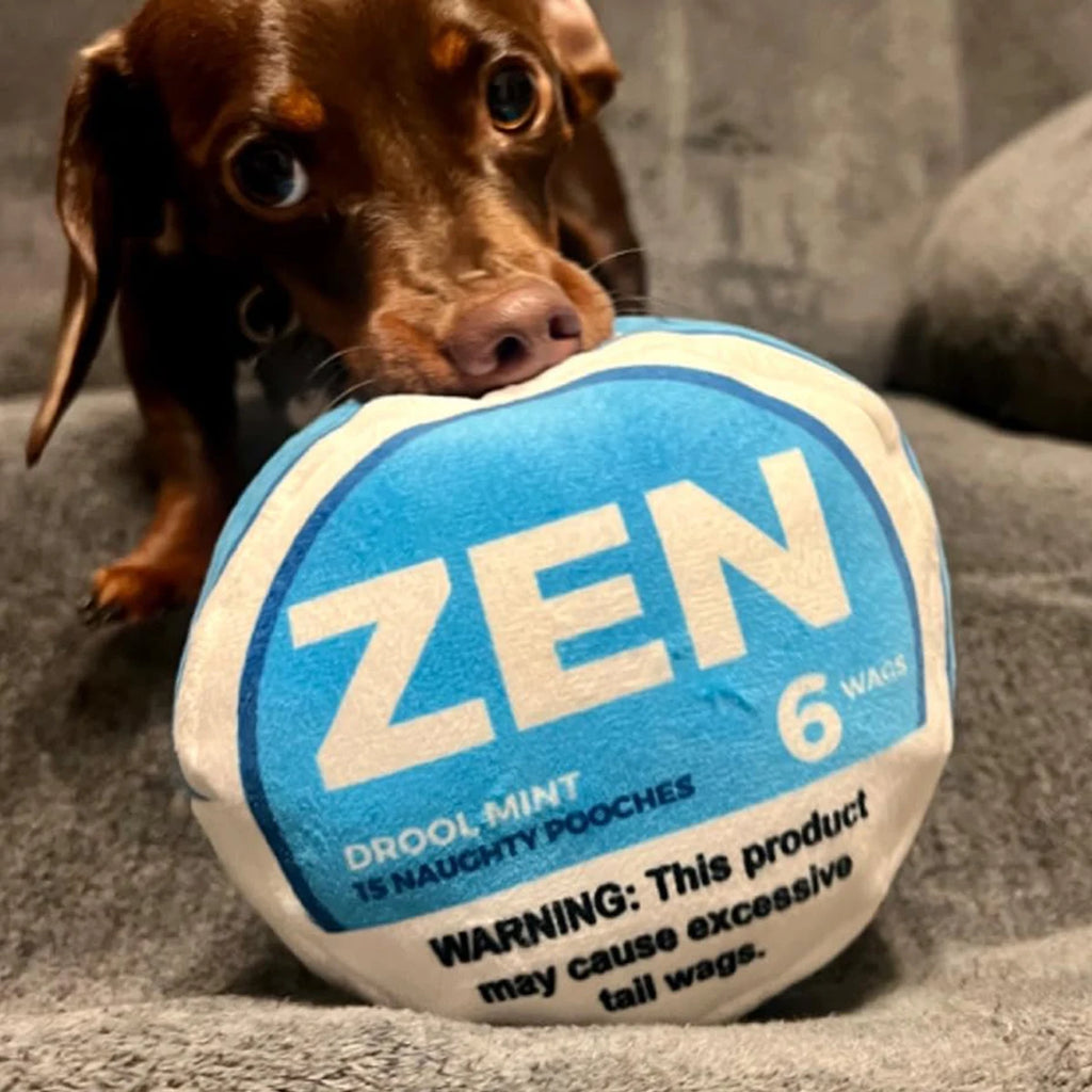 Zen Pupper Deckies Plush Squeaky Dog Toy | Funny Crinkle Toy for Interactive Play
