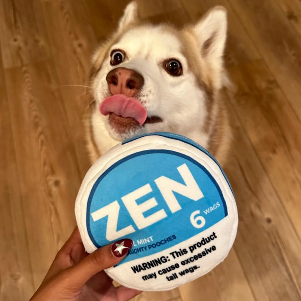 Zen Pupper Deckies Plush Squeaky Dog Toy | Funny Crinkle Toy for Interactive Play