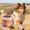 Turkey Tail Immune Support Powder for Dogs | Daily Immune & Gut Health Supplement (100g)