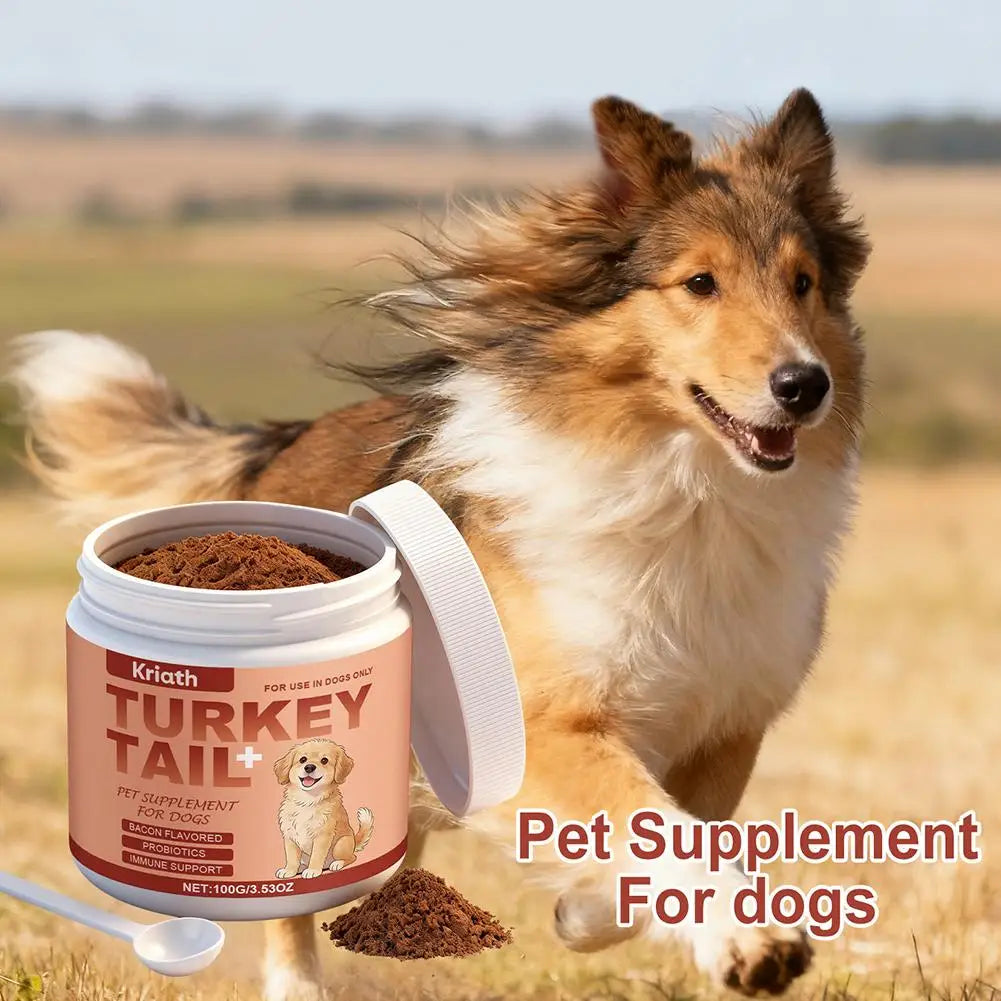 Turkey Tail Immune Support Powder for Dogs | Daily Immune & Gut Health Supplement (100g)