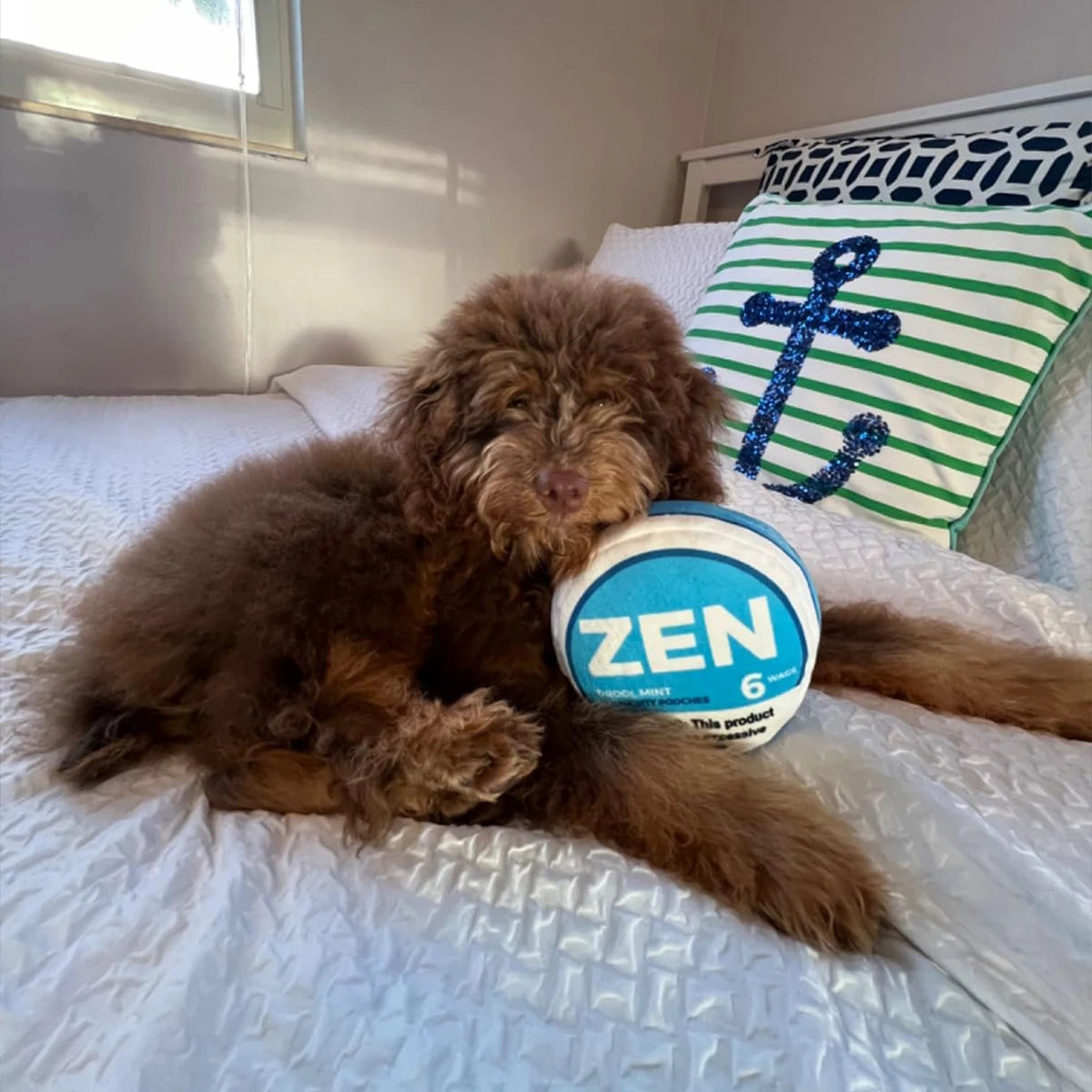Zen Pupper Deckies Plush Squeaky Dog Toy | Funny Crinkle Toy for Interactive Play