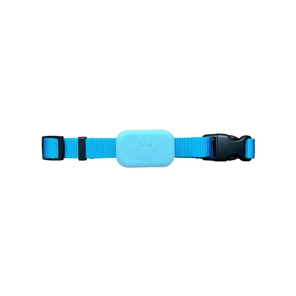 Smart Bluetooth Pet Finder | Apple Find My Collar