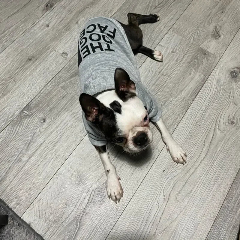 The Dog Face Dog Hoodie