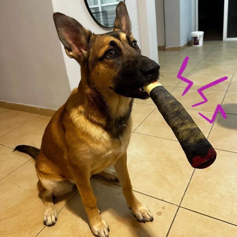 Funny Plush Squeaky Dog Toy | Interactive Soft Chew Toy for Puppies & Dogs