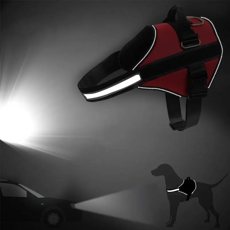 Adjustable Reflective Dog Harness with Custom Name Patch