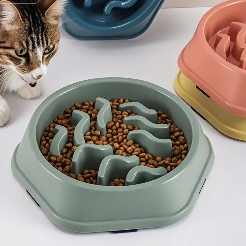 Slow Feeder Bowl for Dogs & Cats | Non-Slip Anti-Choke Interactive Feeding Bowl