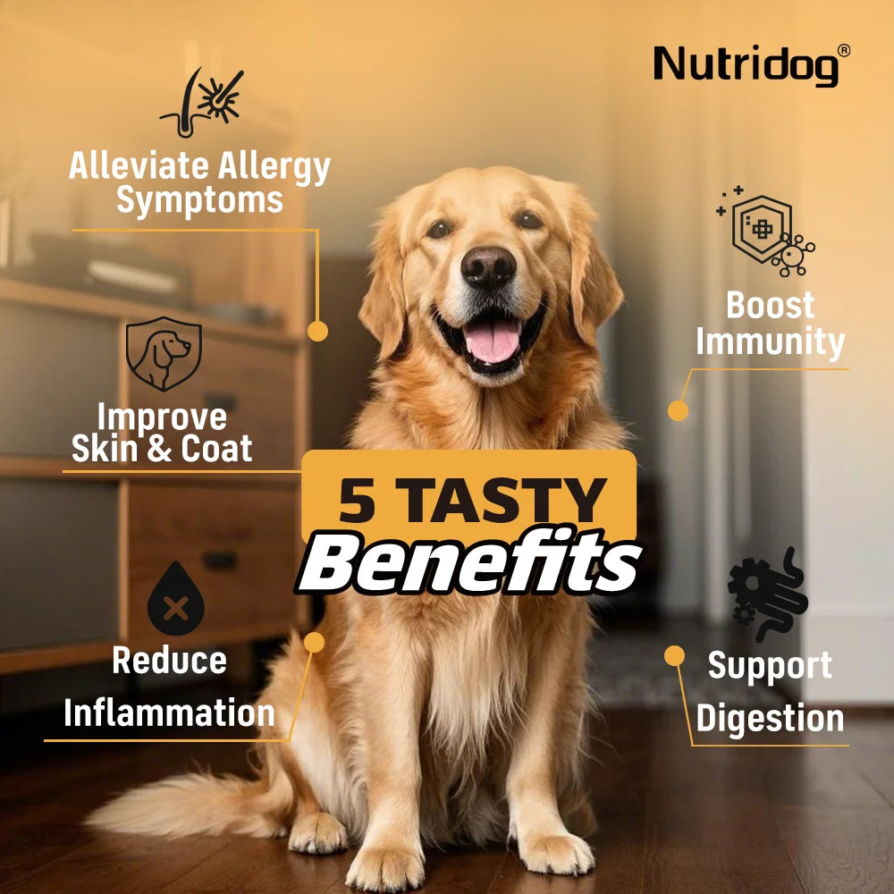 Allergy & Itch Relief Chews for Dogs | Omega-3, Probiotics & Immune Support | Chicken Flavor | 90 Soft Chews