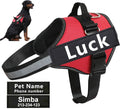 Adjustable Reflective Dog Harness with Custom Name Patch