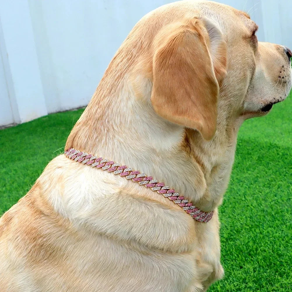 Luxury Diamond Cuban Link Pet Collar | Stainless Steel Dog & Cat Jewelry with Secure Buckle
