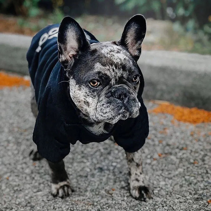 The Dog Face Dog Hoodie