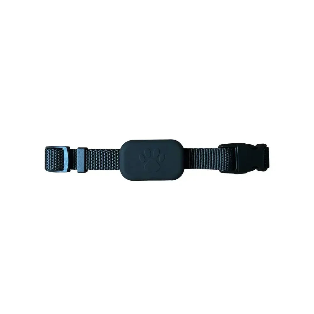 Smart Bluetooth Pet Finder | Apple Find My Collar