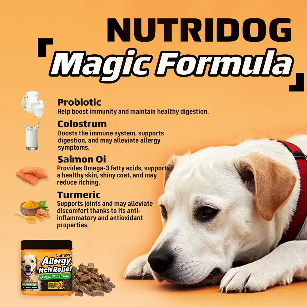 Allergy & Itch Relief Chews for Dogs | Omega-3, Probiotics & Immune Support | Chicken Flavor | 90 Soft Chews