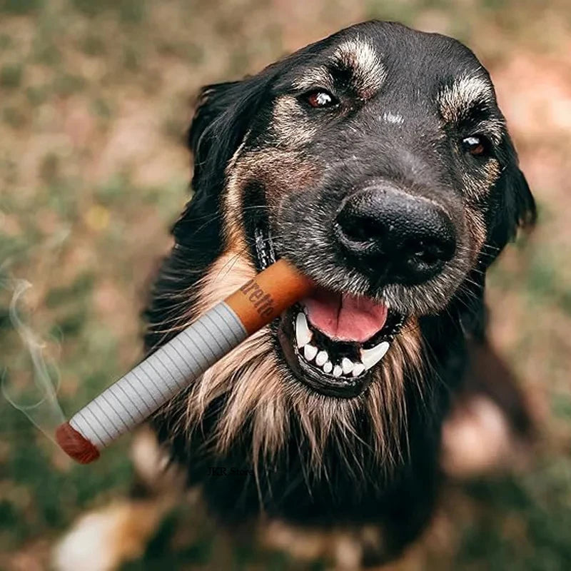 Funny Cigarette Plush Dog Toy | Interactive Squeaky Chew Toy for Small & Medium Dogs