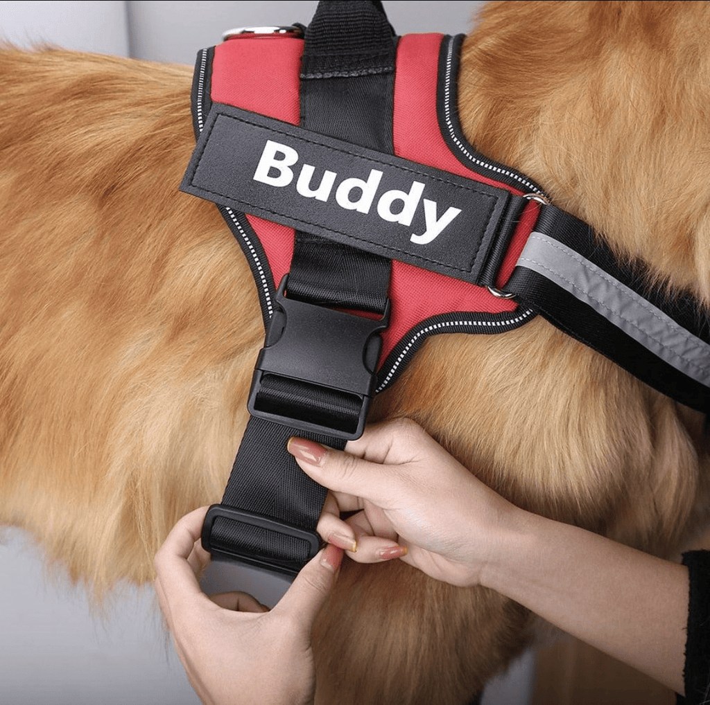 Adjustable Reflective Dog Harness with Custom Name Patch