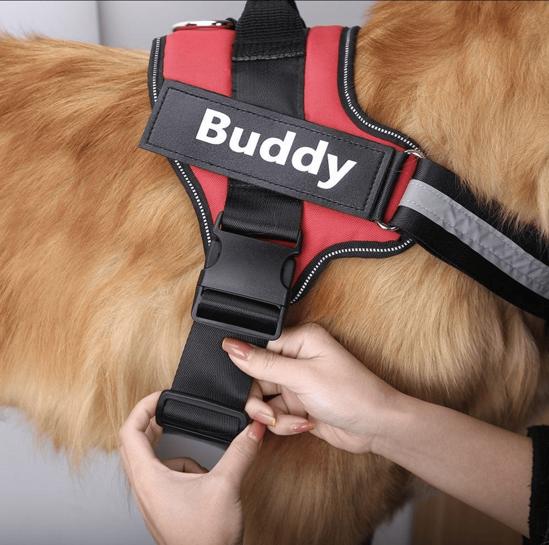 Adjustable Reflective Dog Harness with Custom Name Patch