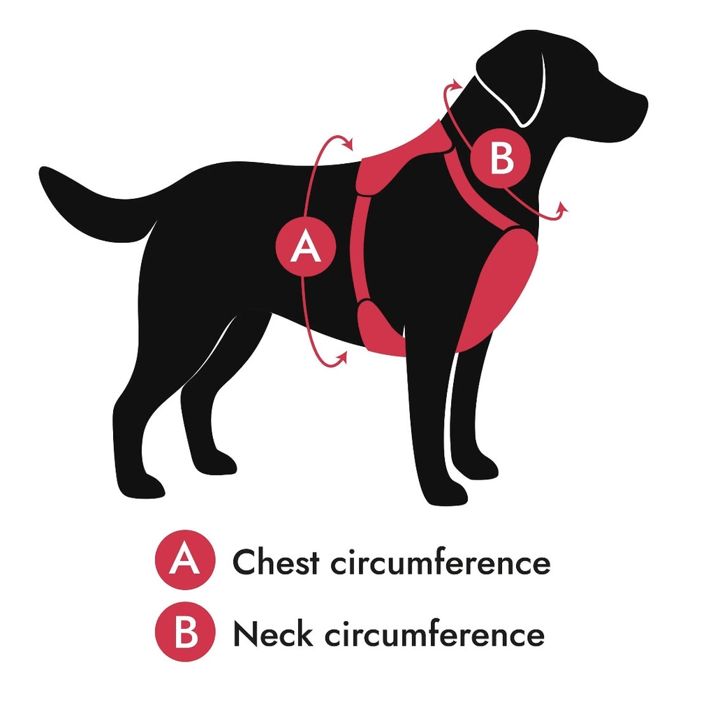 Adjustable Reflective Dog Harness with Custom Name Patch