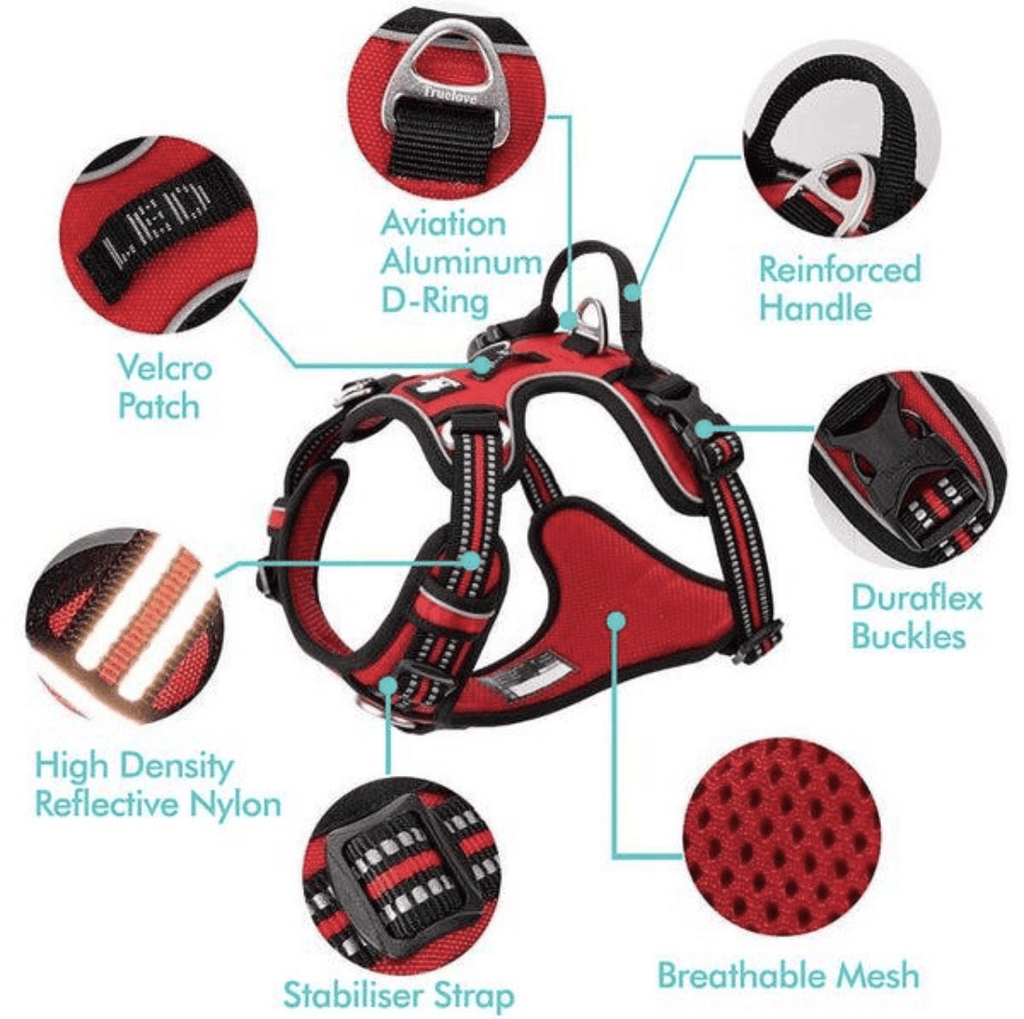 Adjustable Reflective Dog Harness with Custom Name Patch